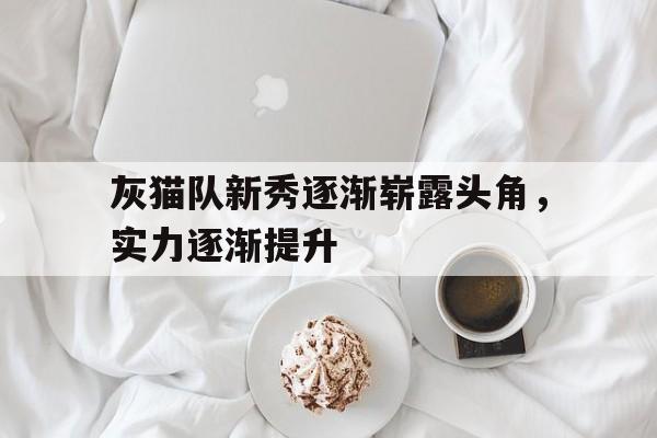 im电竞-灰猫队新秀逐渐崭露头角，实力逐渐提升的简单介绍