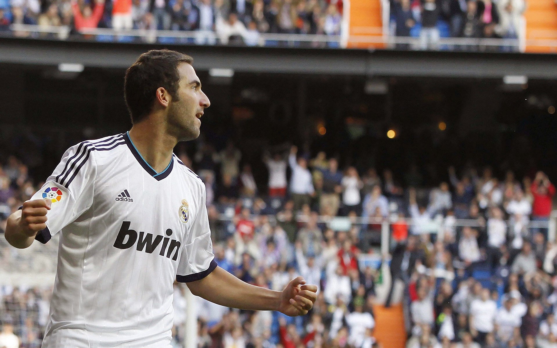 风之刃与永不熄灭的羽毛，当柔韧的绝杀刺穿钢铁意志